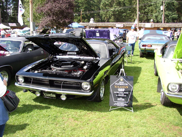 P1010003.JPG